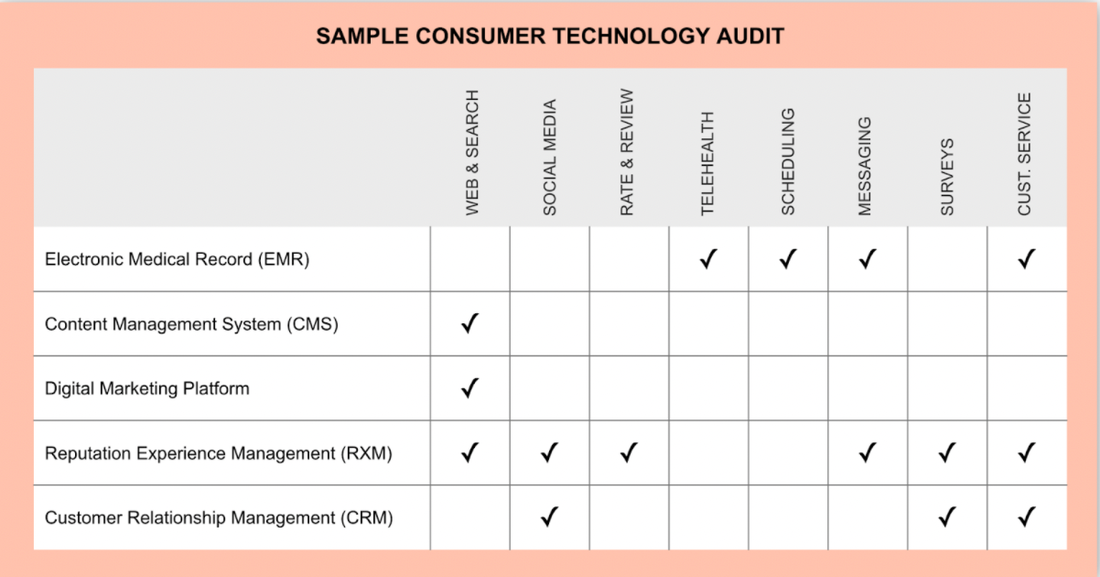 sample consumer technology audit