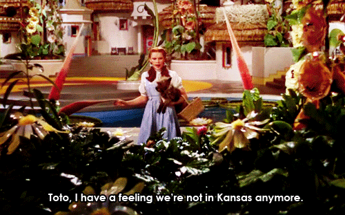 GIF of Dorothy from the Wizard of Oz with text reading "Toto, I have a feeling we're not in Kansas anymore."